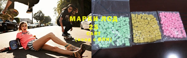 шишки Архангельск