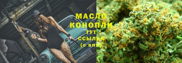 гидра Заводоуковск