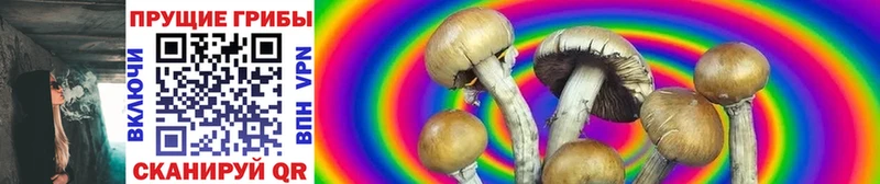 купить   Плёс  MEGA ТОР  Псилоцибиновые грибы MAGIC MUSHROOMS 